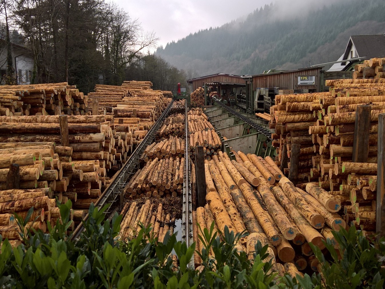 Read more about the article Recycling of wood